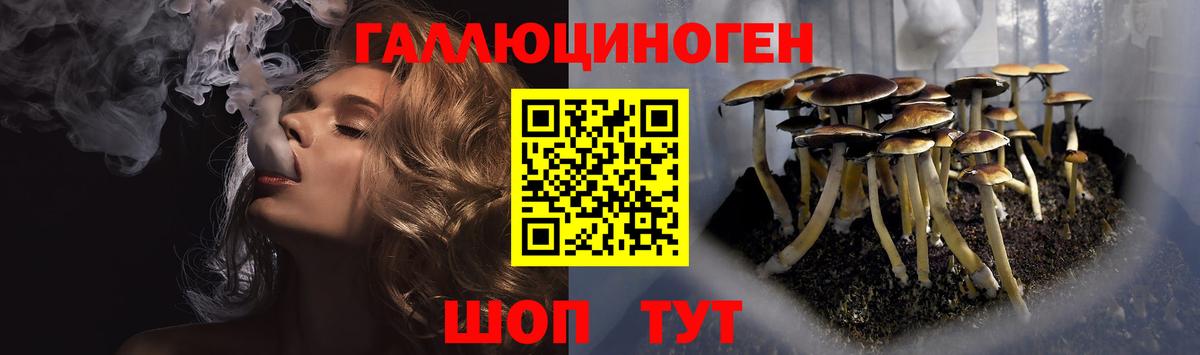 даркнет сайт  Псилоцибиновые грибы Magic Shrooms  Вход с VPN  Уссурийск 